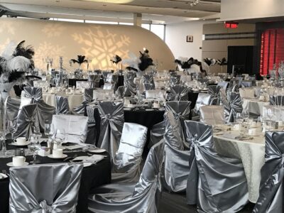 Chair Cover Silver Satin Universal - Image 3