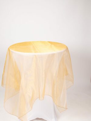 Overlay Vegas Gold Organza