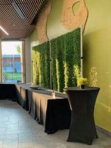 grass, artificial plant, grass wall, plant, plant wall, backdrop, background